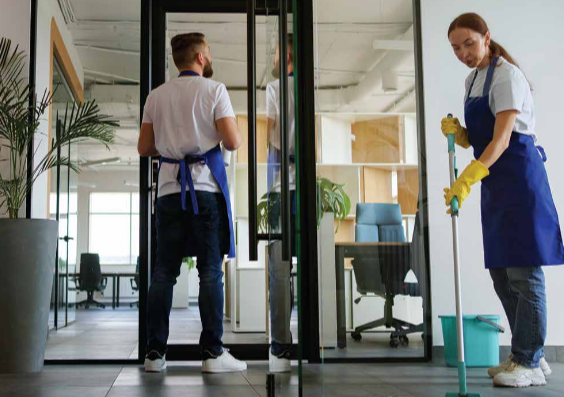 images showcasing professional cleaning services